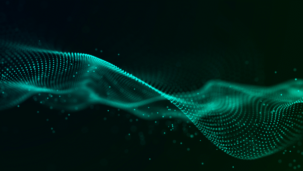 MIE Background Screening Index (2019)