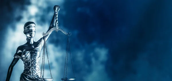 Fight against sexual offenders gathers pace as verification process is tightened